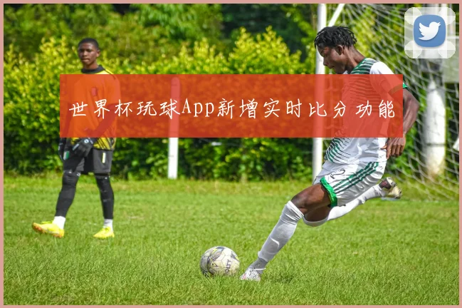 世界杯玩球App新增实时比分功能