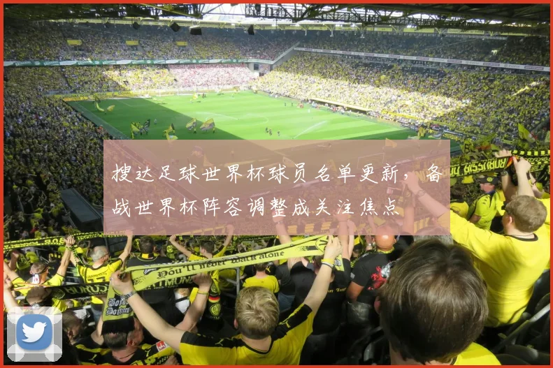 搜达足球世界杯球员名单更新，备战世界杯阵容调整成关注焦点