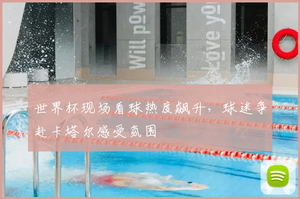 世界杯现场看球热度飙升,球迷争赴卡塔尔感受氛围